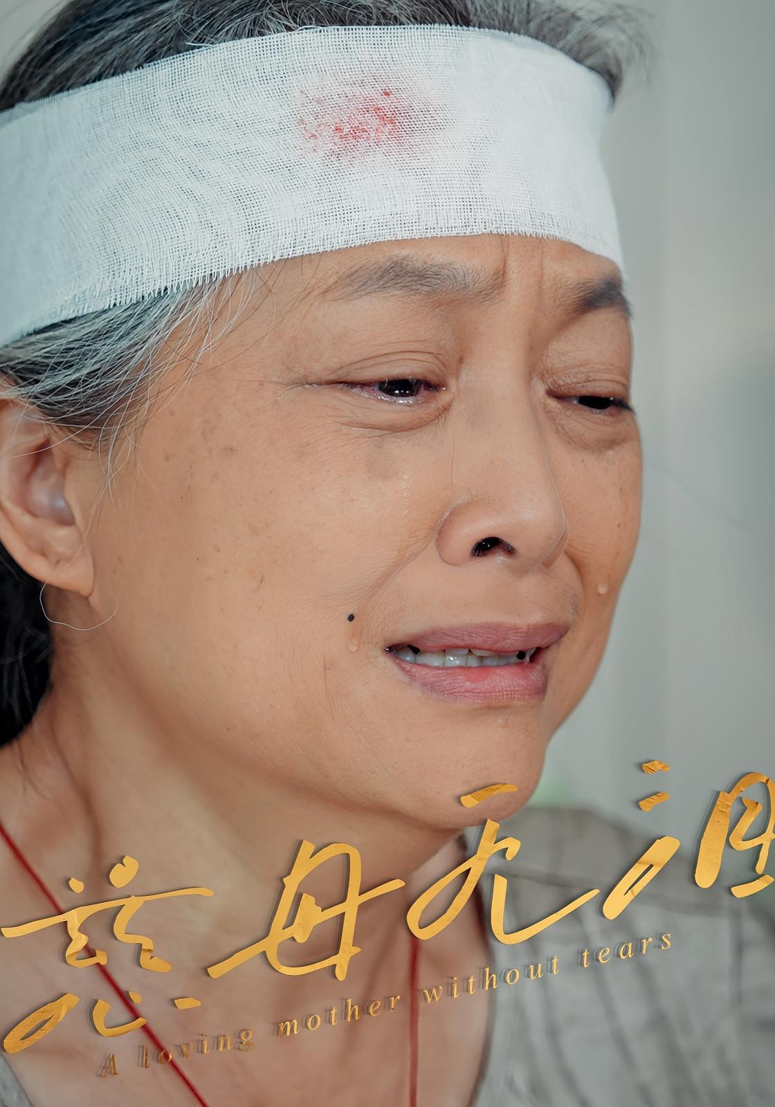 慈母无泪(30集)最新全集完整版免费在线观看未删减版 百度网盘夸克网盘免费资源下载 第1张 慈母无泪(30集)最新全集完整版免费在线观看未删减版 百度网盘夸克网盘免费资源下载 第1张