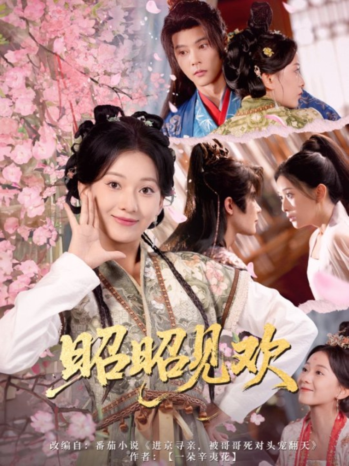 昭昭见欢蔺瑞雪李俊辰66集全集超清未删减版免费在线观看，百度网盘夸克网盘资源分享下载，完整版播放地址  第1张