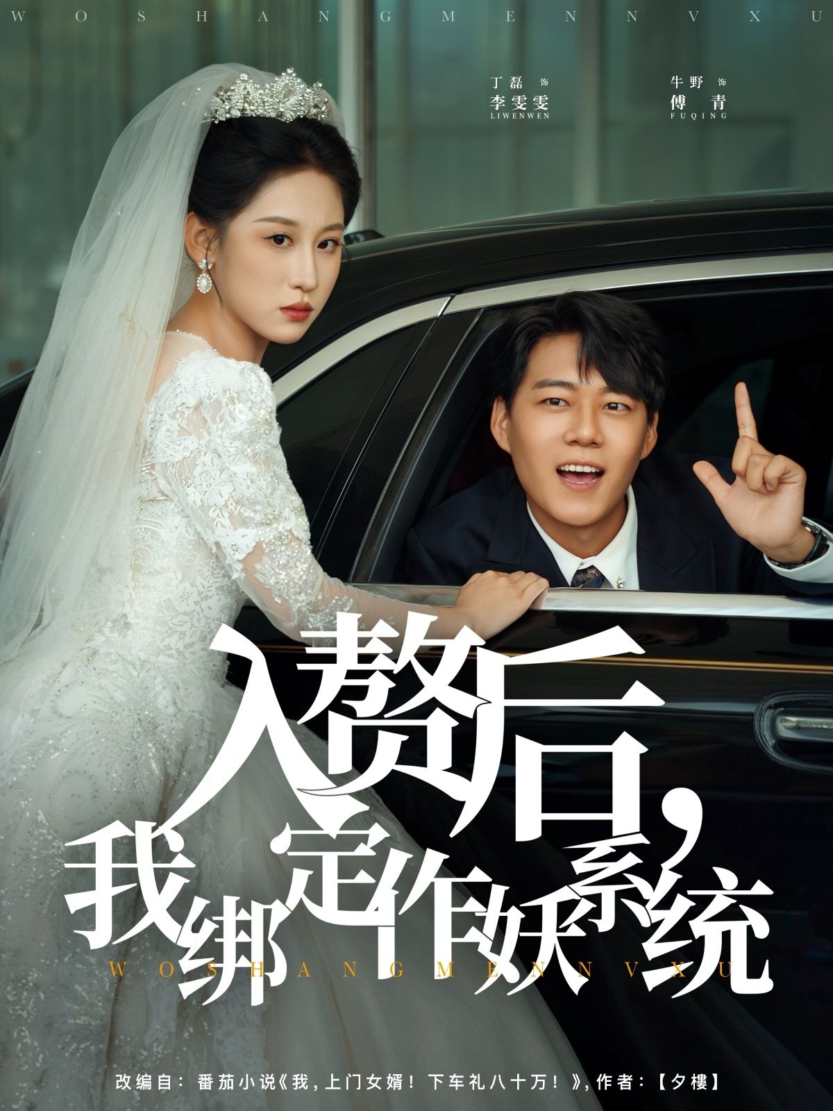 热门短剧入赘后我绑定作妖系统（81集）丁磊&牛野主演，全集完整版未删减，高清免费在线观看，百度网盘夸克网盘资源分享下载
