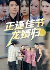 热门短剧正逢佳节龙婿归（42集）王鹏赫王馨主演，全集完整版免费观看在线播放未删减版，百度网盘夸克网盘免费资源分享下载  第1张
