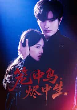 热门短剧笼中鸟,烬中生60集全集完整版未删减 罗正郑初晨主演 免费无需注册在线观看 百度网盘夸克网盘免费资源分享下载 第1张 热门短剧笼中鸟,烬中生60集全集完整版未删减 罗正郑初晨主演 免费无需注册在线观看 百度网盘夸克网盘免费资源分享下载 第1张