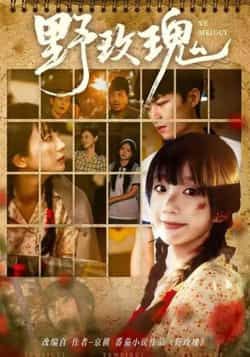 野玫瑰热门短剧82集全集完整版|钊瑞象韵洁主演|免费在线观看未删减版|百度网盘夸克网盘资源下载 第1张 野玫瑰热门短剧82集全集完整版|钊瑞象韵洁主演|免费在线观看未删减版|百度网盘夸克网盘资源下载 第1张