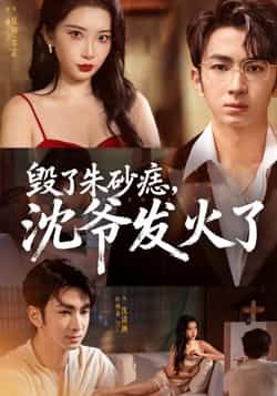 毁了朱砂痣,沈爷发火了60集全集完整版未删减 叶森林张璇主演 免费在线观看 百度夸克网盘秒存下载资源 第1张 毁了朱砂痣,沈爷发火了60集全集完整版未删减 叶森林张璇主演 免费在线观看 百度夸克网盘秒存下载资源 第1张