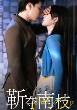 热门短剧靳夺南枝全集完整版免费在线观看未删减版，百度网盘夸克网盘资源免费分享下载  第1张