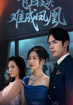 热门短剧飞上枝头难成凤凰全集完整版极速免费在线观看未删减版,百度网盘夸克网盘免费资源分享下载 第1张 热门短剧飞上枝头难成凤凰全集完整版极速免费在线观看未删减版,百度网盘夸克网盘免费资源分享下载 第1张