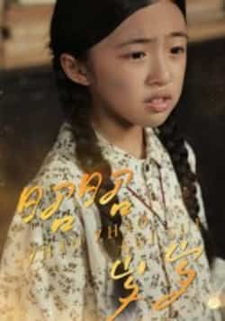 热门短剧昭昭岁岁全集完整版未删减免费在线观看,百度网盘夸克网盘资源分享下载,高清流畅更新中,立即追更! 第1张 热门短剧昭昭岁岁全集完整版未删减免费在线观看,百度网盘夸克网盘资源分享下载,高清流畅更新中,立即追更! 第1张