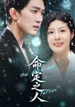 热门短剧《命定之人》 全集完整版免费观看在线播放未删减版资源，短剧百度网盘夸克网盘免费资源分享下载  第1张