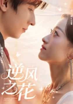 热门短剧逆风之花全集完整版免费在线观看未删减版,百度网盘夸克网盘稳定资源下载分享,高清播放无卡顿 第1张 热门短剧逆风之花全集完整版免费在线观看未删减版,百度网盘夸克网盘稳定资源下载分享,高清播放无卡顿 第1张