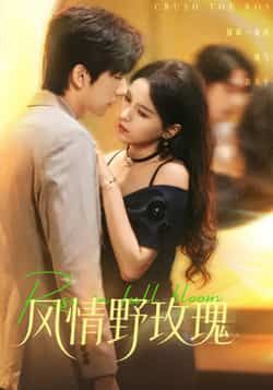 热门短剧风情野玫瑰全集完整版免费无广告在线观看未删减版，百度网盘夸克网盘资源分享下载  第1张