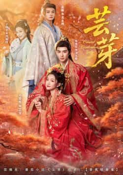 热门短剧芸芽全集完整版免费在线观看未删减版，无需注册播放，百度网盘夸克网盘免费资源分享下载