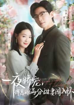 热门短剧《一夜娇宠，傅总的满分甜妻闯入怀》 全集完整版免费稳定在线观看播放未删减版资源，短剧百度网盘夸克网盘免费资源分享下载