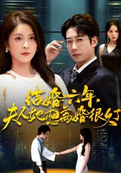 结婚六年夫人她想离婚很久了全集完整版高清免费在线观看未删减版，百度网盘夸克网盘免费资源分享下载  第1张