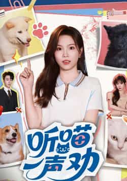 热门短剧听喵一声劝全集完整版免费在线观看未删减版，百度网盘夸克网盘免费资源下载分享