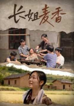 长姐麦香全集完整版免费稳定在线观看未删减版，百度网盘夸克网盘免费资源分享下载  第1张