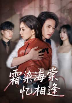 热门短剧《霜染海棠忆相逢》 全集完整版极速免费在线观看播放未删减版资源，短剧百度网盘夸克网盘免费资源分享下载