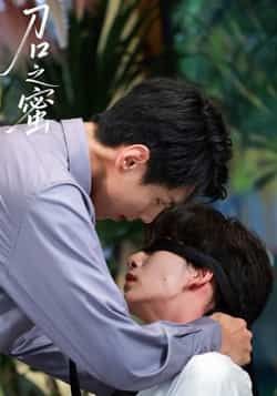 热门短剧《刀口之蜜》 全集完整版免费播放在线观看未删减版资源,短剧百度网盘夸克网盘免费资源分享下载 第1张 热门短剧《刀口之蜜》 全集完整版免费播放在线观看未删减版资源,短剧百度网盘夸克网盘免费资源分享下载 第1张