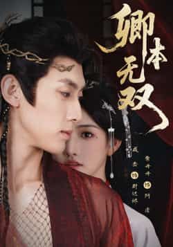 热门短剧《卿本无双》 全集完整版免费在线观看播放未删减版资源，短剧百度网盘夸克网盘资源免费分享下载