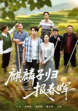 麒麟子归报春晖热门短剧全集完整版免费在线观看未删减，百度网盘夸克网盘资源下载分享