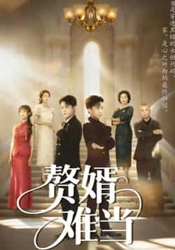 热门短剧赘婿难当全集完整版超清免费在线观看 未删减版播放资源，百度网盘夸克网盘免费分享下载