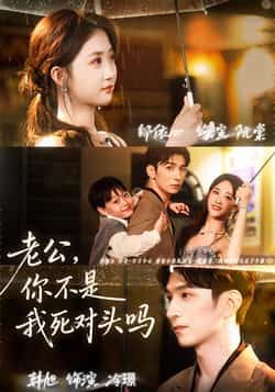 老公,你不是我死对头吗全集完整版免费观看在线播放未删减版,百度网盘夸克网盘免费资源分享下载